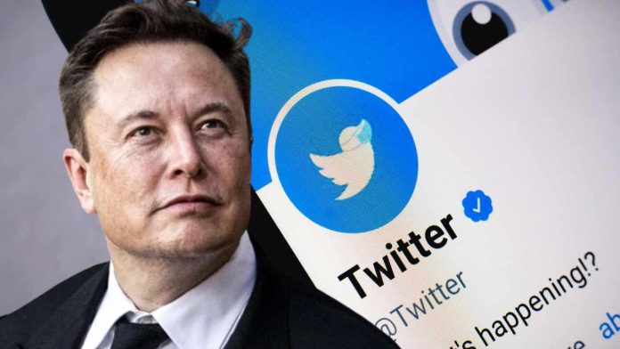 Musk Planning To Allow Blue Tick For $20 & Bring Back Vine