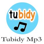 Everything You Need to Know About Tubidy.ws