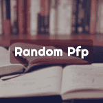 Funny Profile Pictures PFP A Window into Our Online Personality