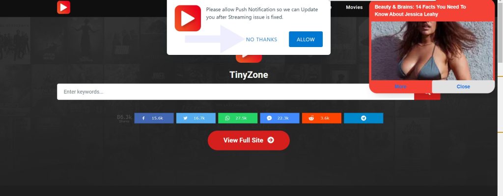 Is TinyZone Safe