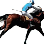 The Future of Equestrian Sports: Using Technology to Increase the Effectiveness of Training and Safety