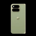 Pixel 11 Pro Fold Pine color leak