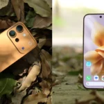 Vivo V80
